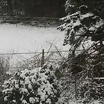 An Der Koenigstrasse