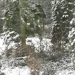An Der Koenigstrasse *