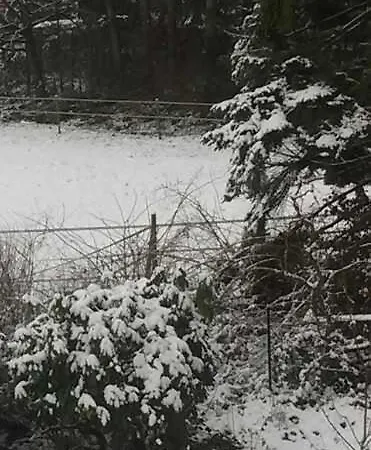 An Der Koenigstrasse