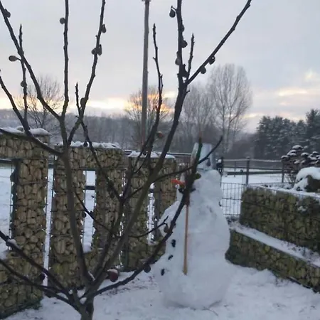 An Der Koenigstrasse דירה *