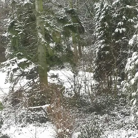 An Der Koenigstrasse *