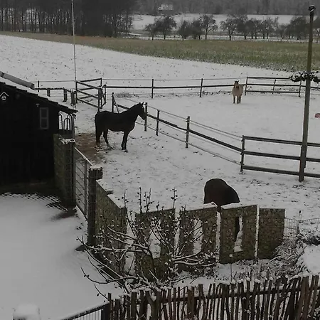 An Der Koenigstrasse