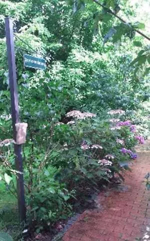 An Der Koenigstrasse