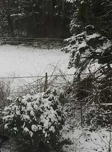 An Der Koenigstrasse