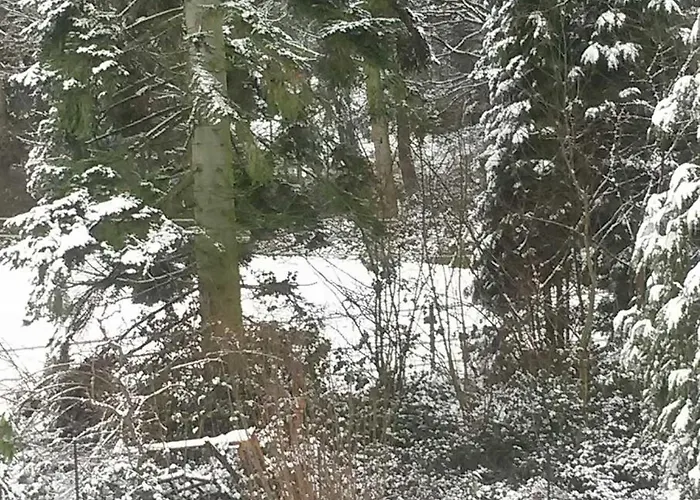 An Der Koenigstrasse *