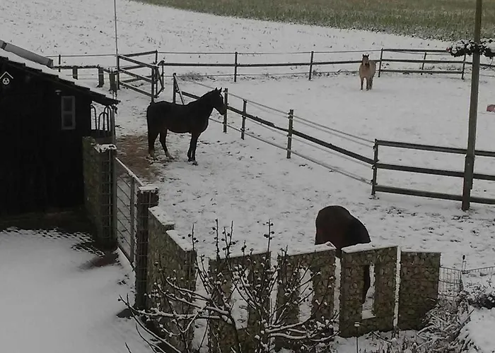 An Der Koenigstrasse